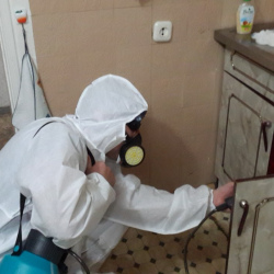 Дезинфекция от муравьев в квартире в Горячем Ключе