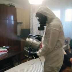 Дезинфекция от клопов в Горячем Ключе