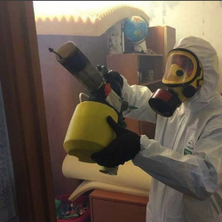 Уничтожение клопов в квартире. Горячий Ключ